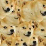 李妙妙的头像-Share1069 精品资源分享站