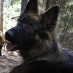 六月的头像-Share1069 精品资源分享站