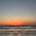 fishtlp的头像-Share1069 精品资源分享站