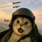 sylzxy的头像-Share1069 精品资源分享站