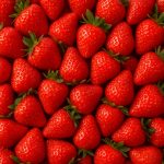 Maewin的头像-Share1069 精品资源分享站